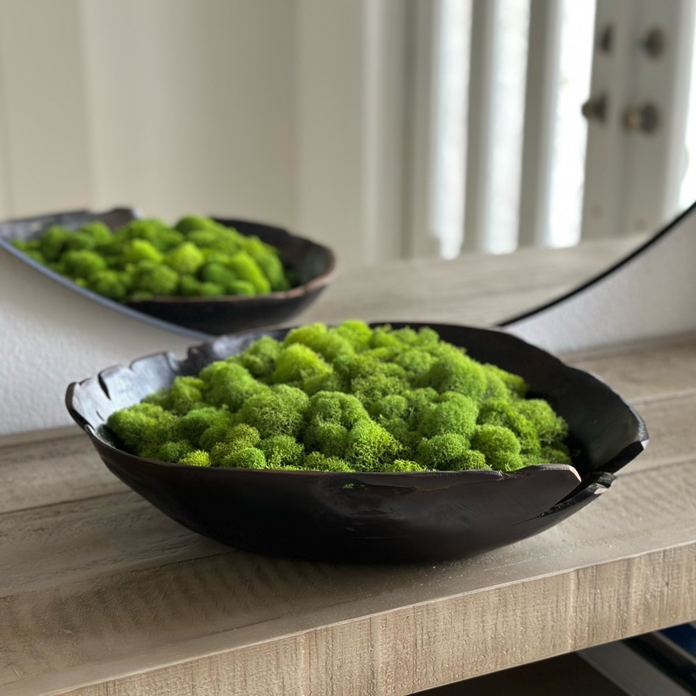 Decorative Wood Moss Bowl